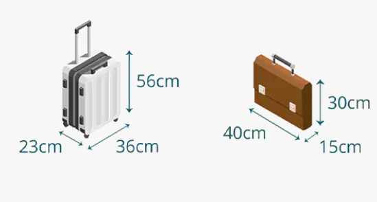 Cục hàng không yêu cầu rà soát quy trình kiểm tra hành lý xách tay tại sân bay - Ảnh 1.
