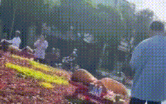 T&igrave;m hướng xử l&yacute; tờ v&eacute; số tr&uacute;ng độc đắc bị r&aacute;ch - Ảnh 2.