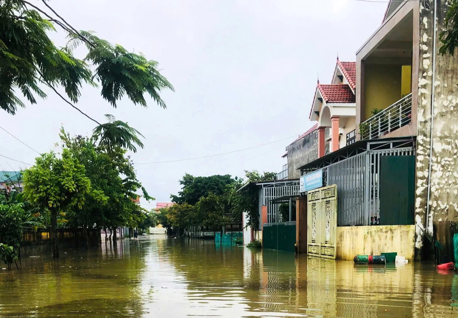 Mưa lũ g&acirc;y ngập h&agrave;ng chục nh&agrave; d&acirc;n ở Lệ Thủy - Ảnh 2.