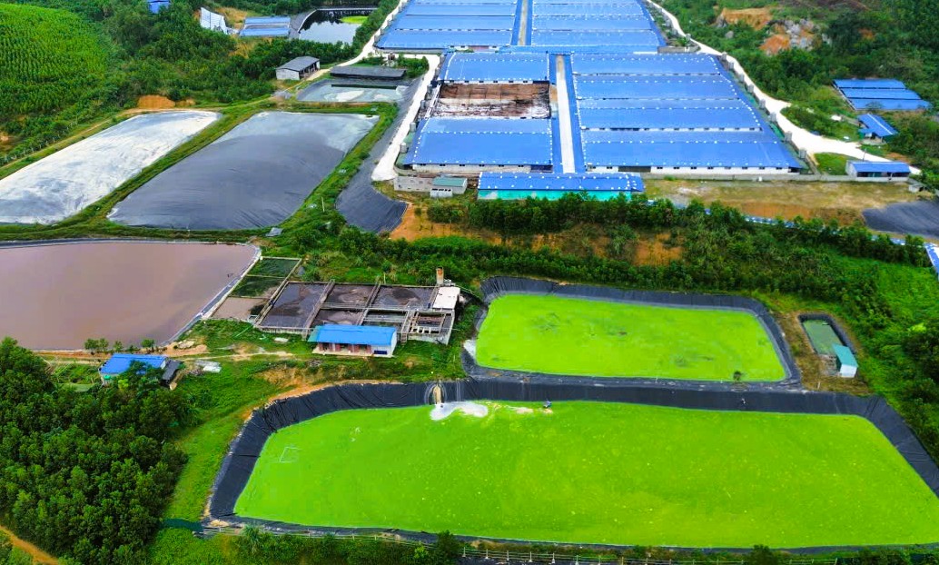 Người d&acirc;n dựng lều l&aacute;n phản đối trại heo c&ocirc;ng nghệ cao g&acirc;y m&ugrave;i h&ocirc;i thối - Ảnh 3.
