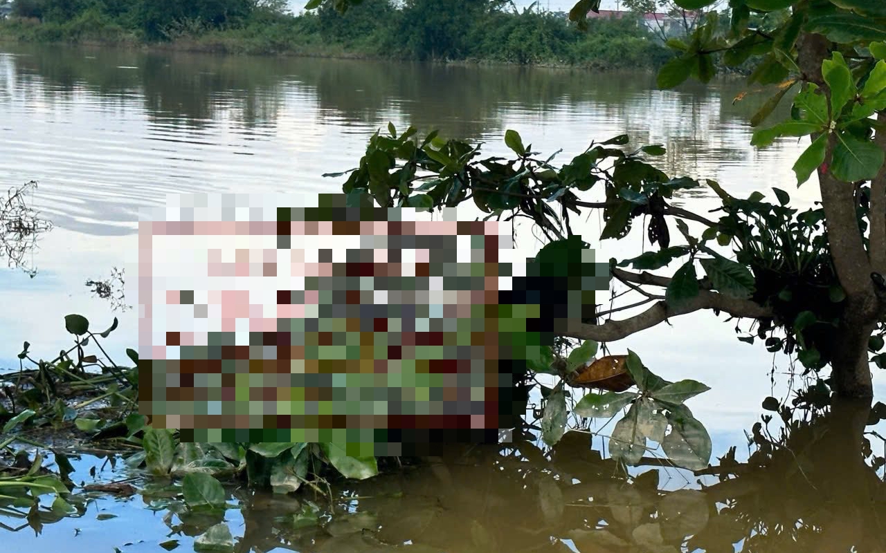 Phát hiện thi thể mắc trên cành cây giữa ruộng