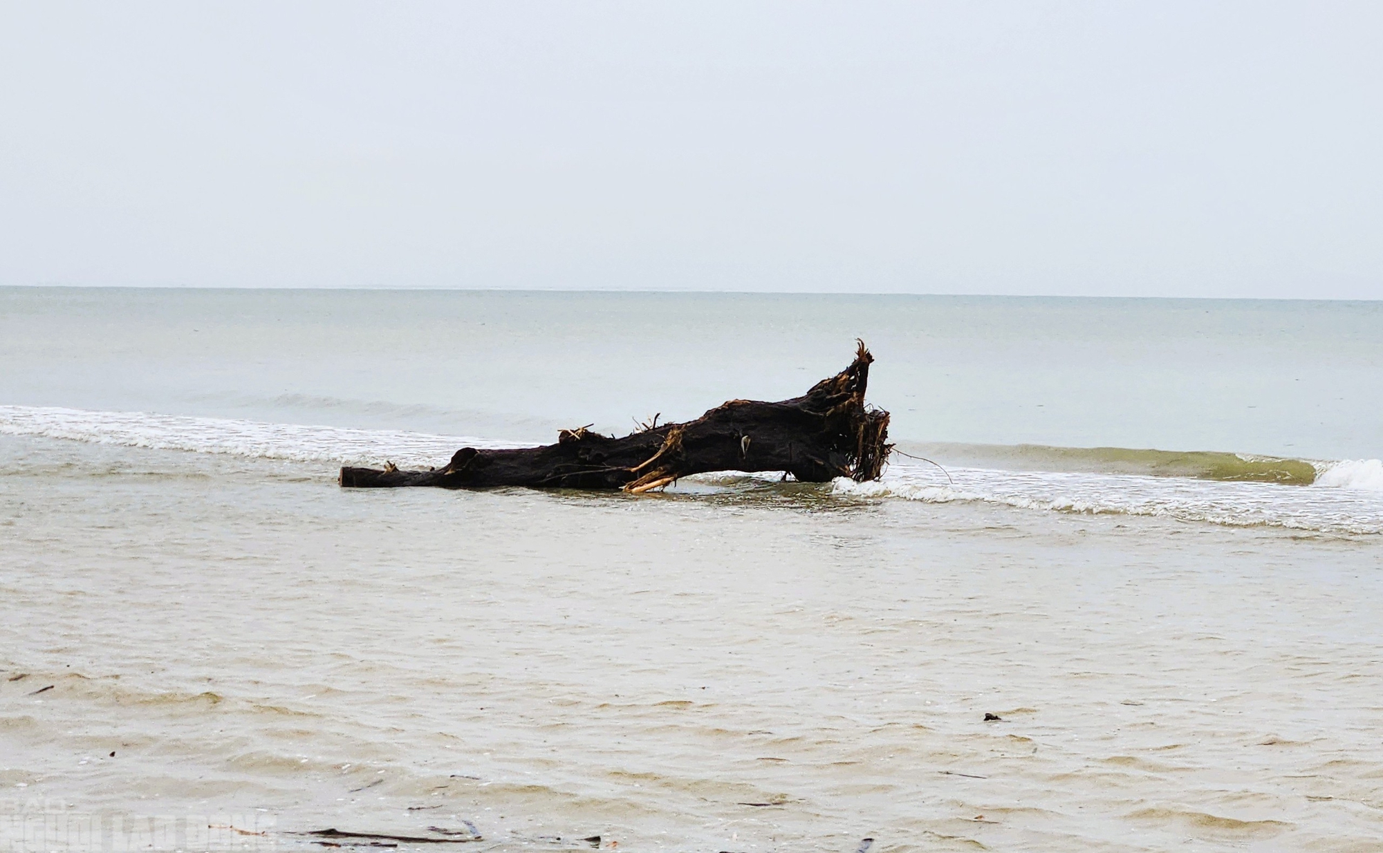  - Ảnh 8.