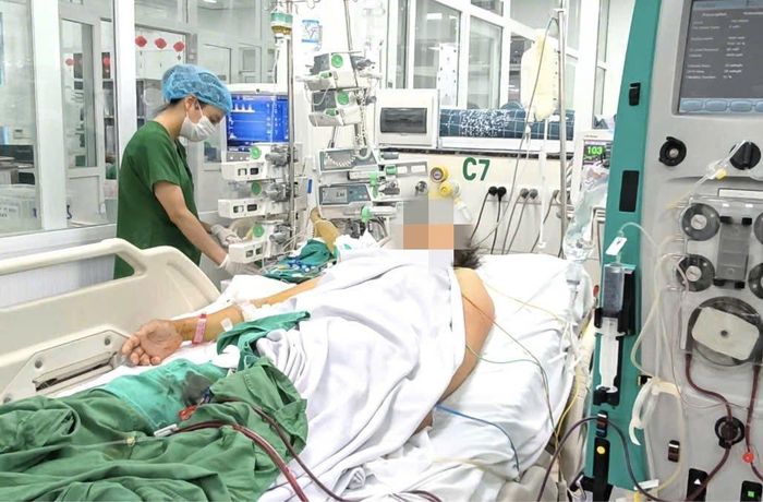Sốt xuất huyết tăng trong m&ugrave;a mưa b&atilde;o, nhiều ca tử vong - Ảnh 1.