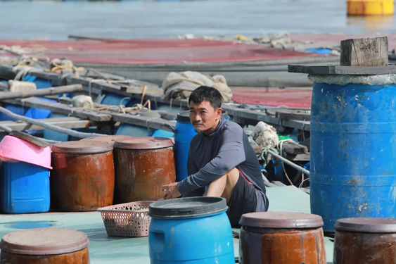 Đề cử Giải Mai V&agrave;ng Hạng mục Nam diễn vi&ecirc;n điện ảnh, truyền h&igrave;nh: Nhiều gương mặt nổi bật - Ảnh 4.