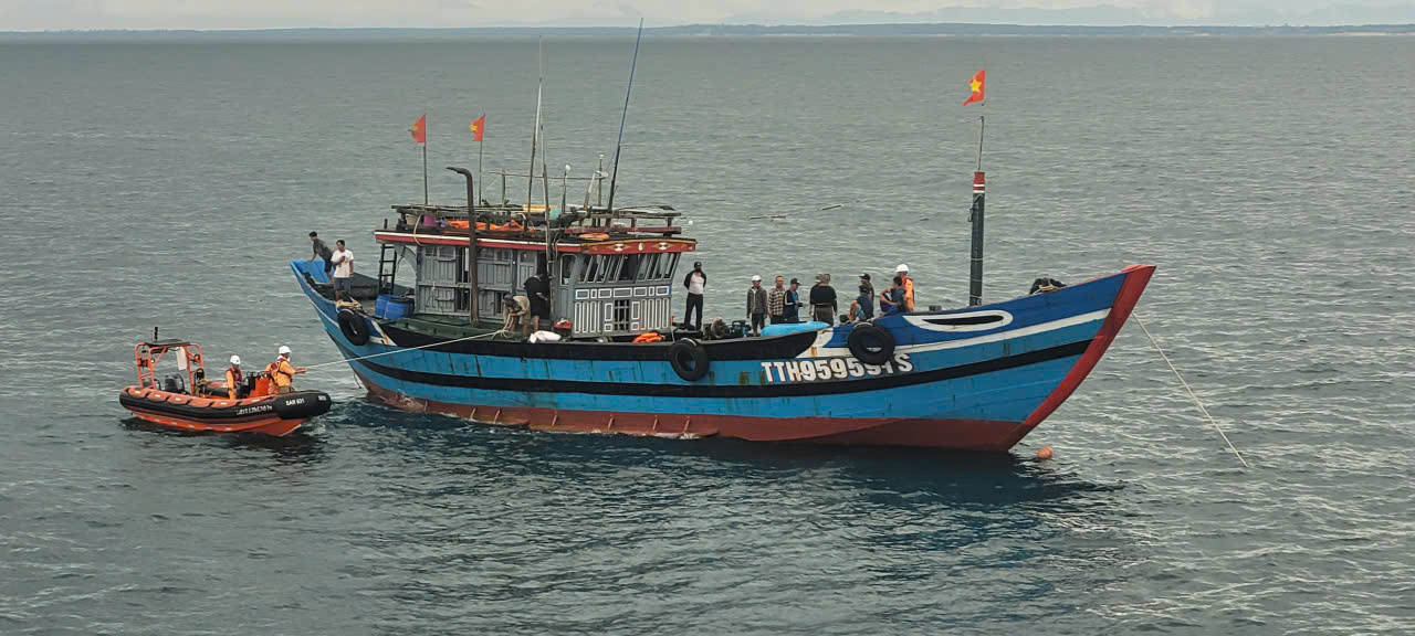 Cận cảnh