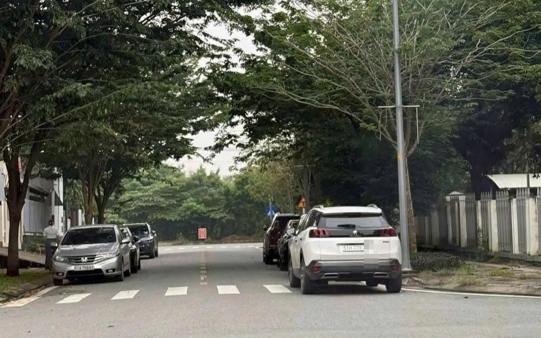TP HCM: Xử phạt một phụ nữ đỗ ô tô trên vạch kẻ đường dành cho người đi bộ