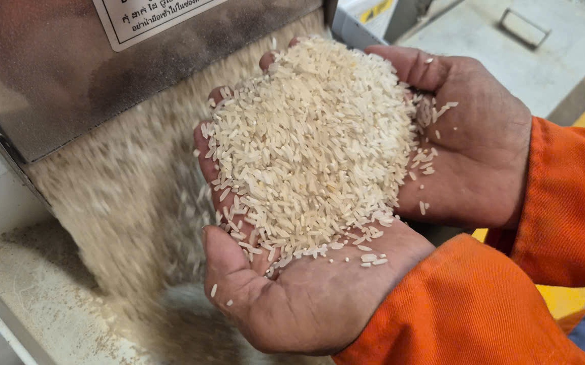 Những loại gạo nào có cơ hội ở thị trường nhập khẩu gạo tới 90%?