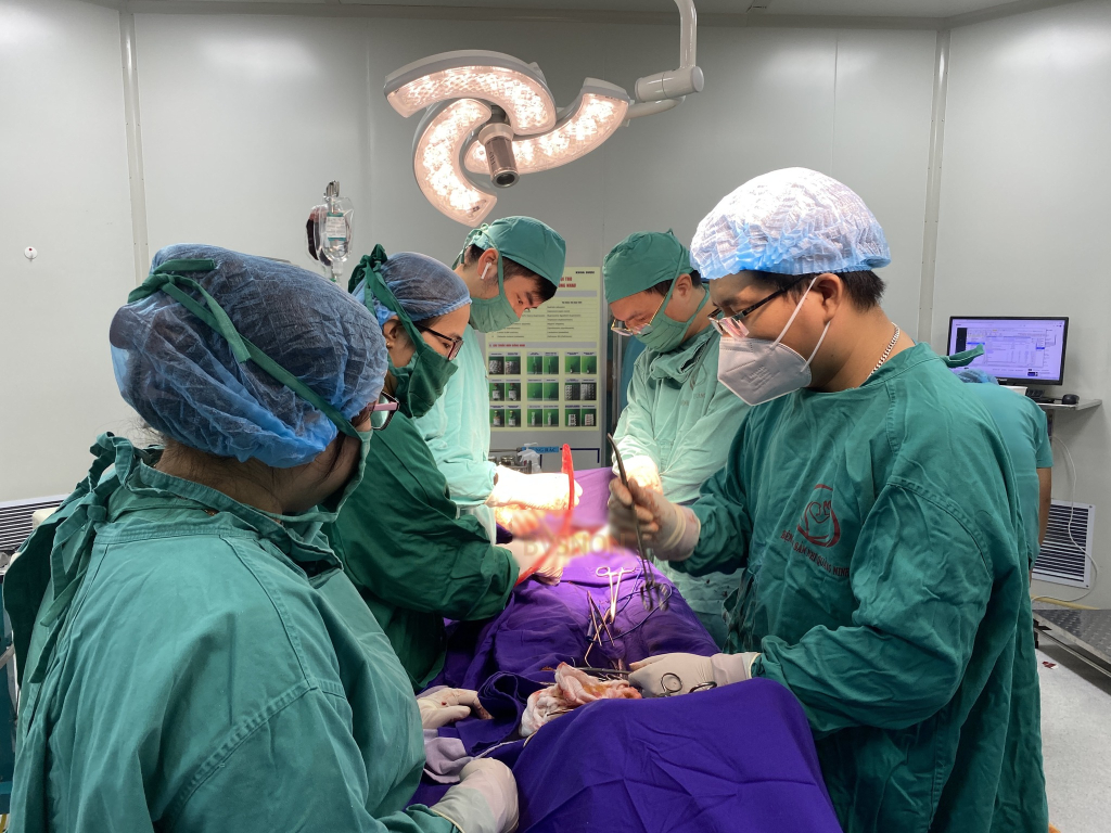 G&oacute;p &yacute; Dự thảo văn kiện Đại hội XIV của Đảng về hệ thống y tế Việt Nam bền vững - Ảnh 2.