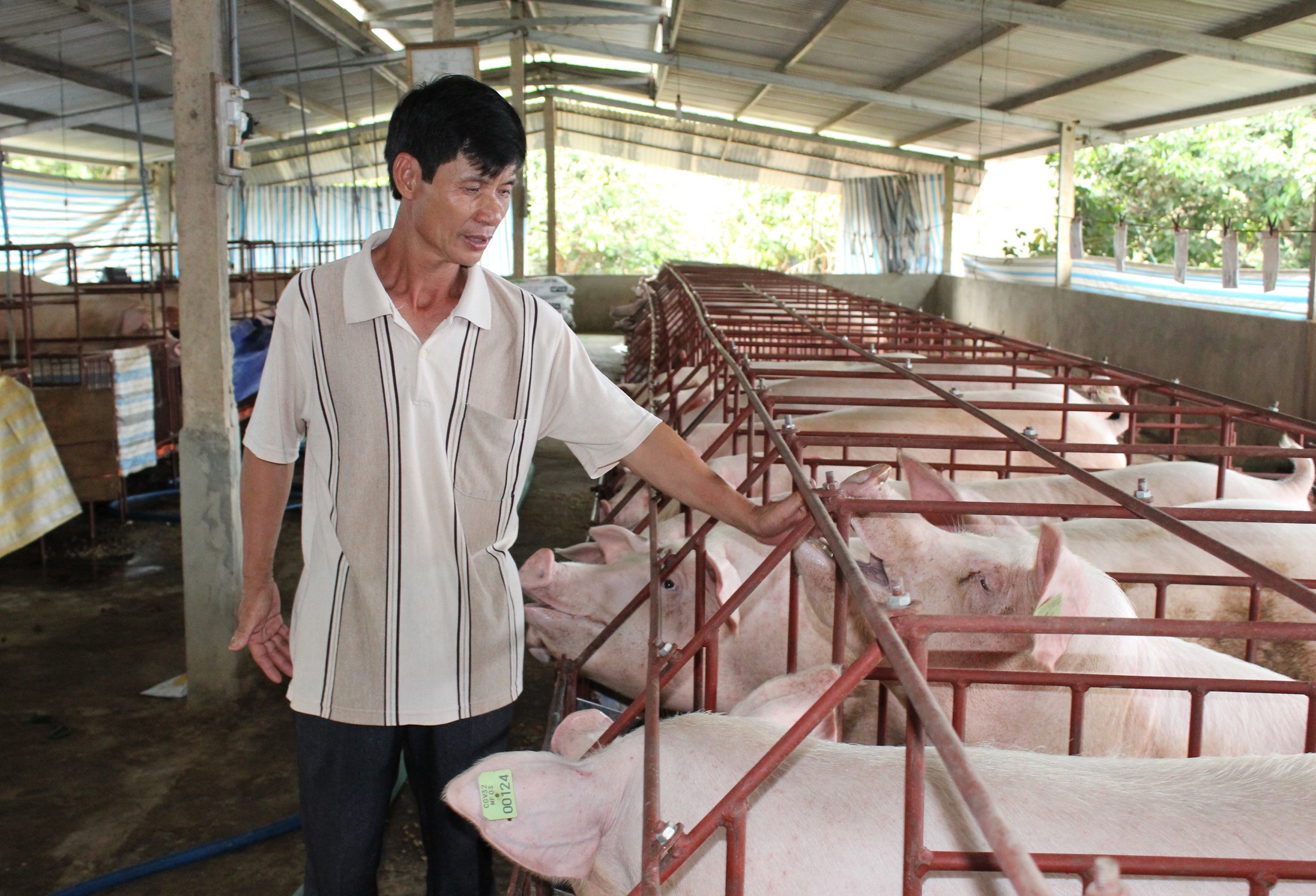 Gi&aacute; heo hơi h&ocirc;m nay, 10-11: C&oacute; khu vực giảm gi&aacute;, c&oacute; khu vực kh&ocirc;ng giảm - Ảnh 1.
