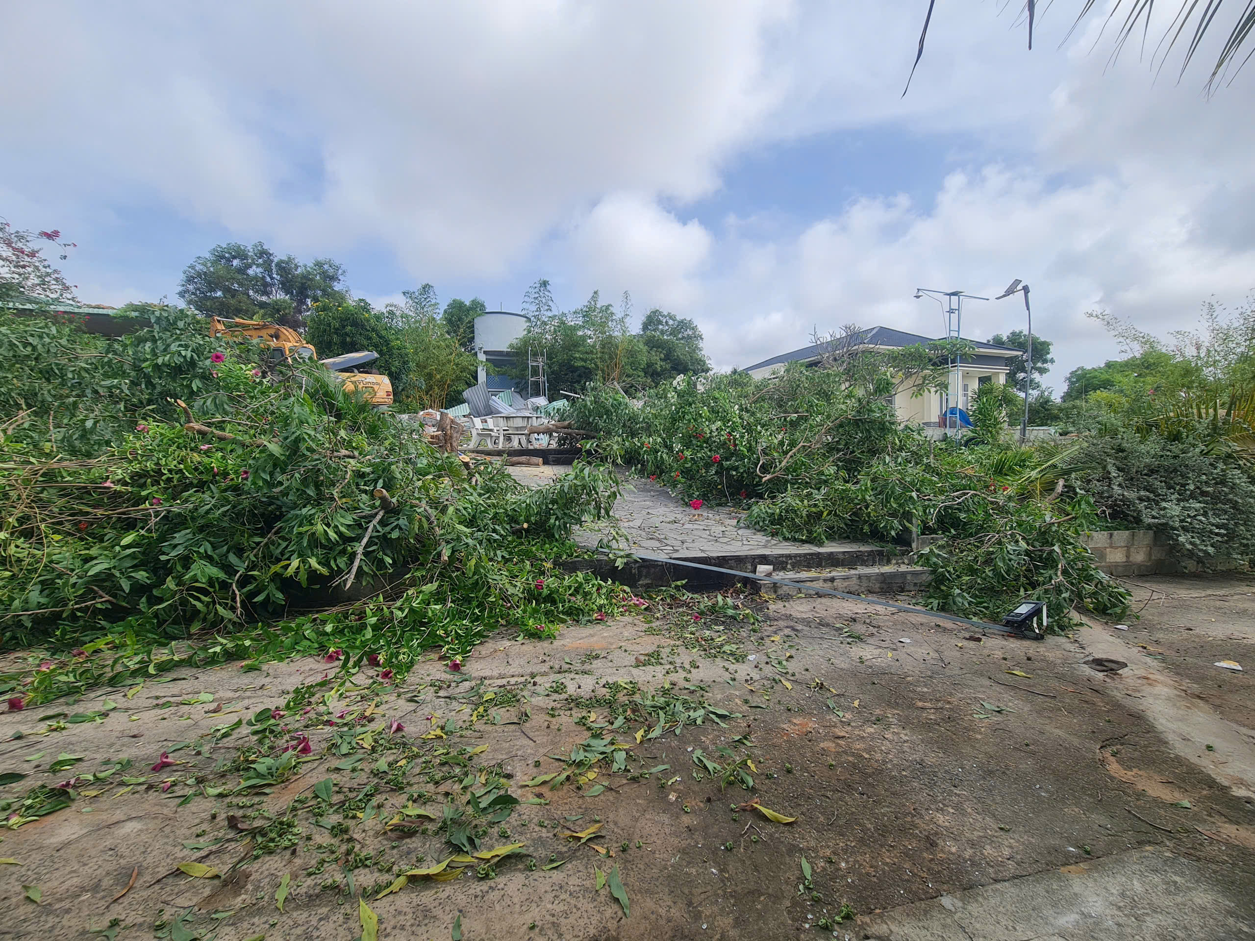 Đang cưỡng chế thu hồi hơn 66.000 m² đất lấn chiếm tại Đồi Cát Bay Mũi Né - Ảnh 1.