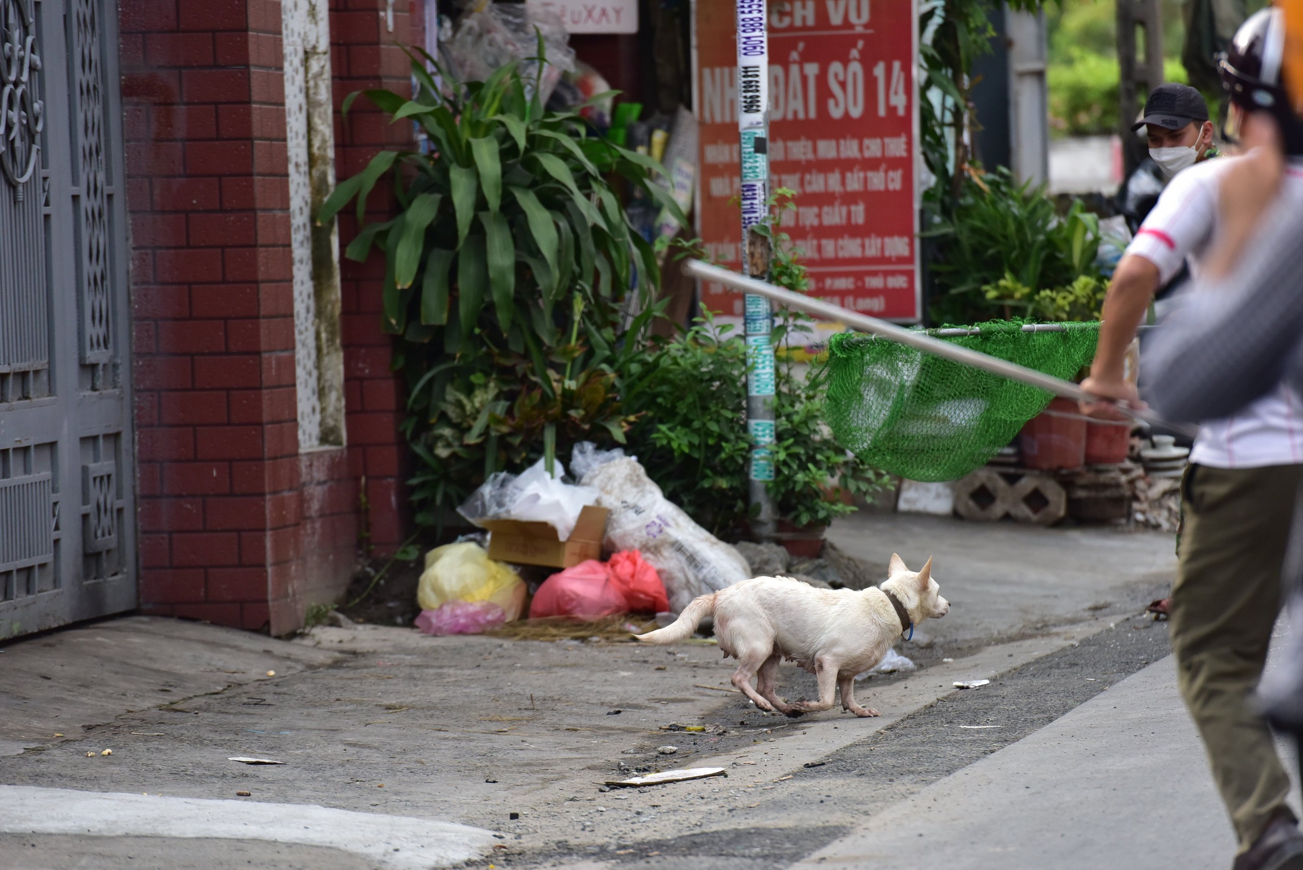 Luật sư l&ecirc;n tiếng vụ nam thanh ni&ecirc;n nguy kịch khi xe t&ocirc;ng tr&uacute;ng ch&oacute; chạy r&ocirc;ng - Ảnh 2.