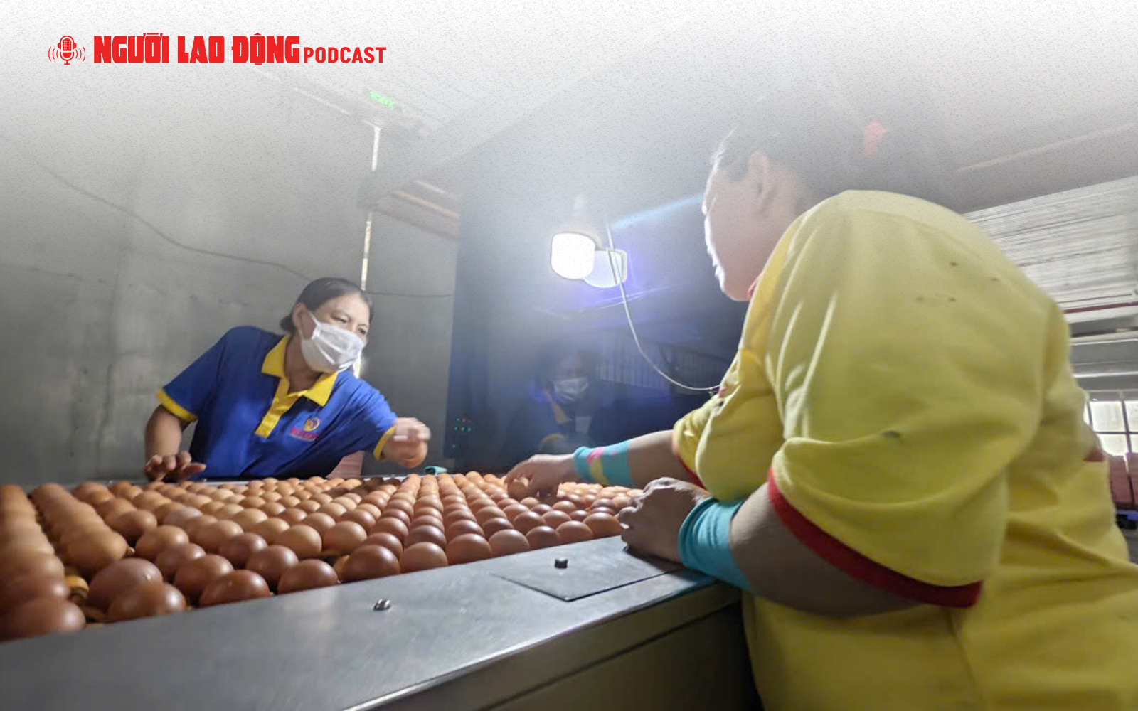 Công ty Ba Huân bị cưỡng chế ngừng thủ tục hải quan, vì sao?
