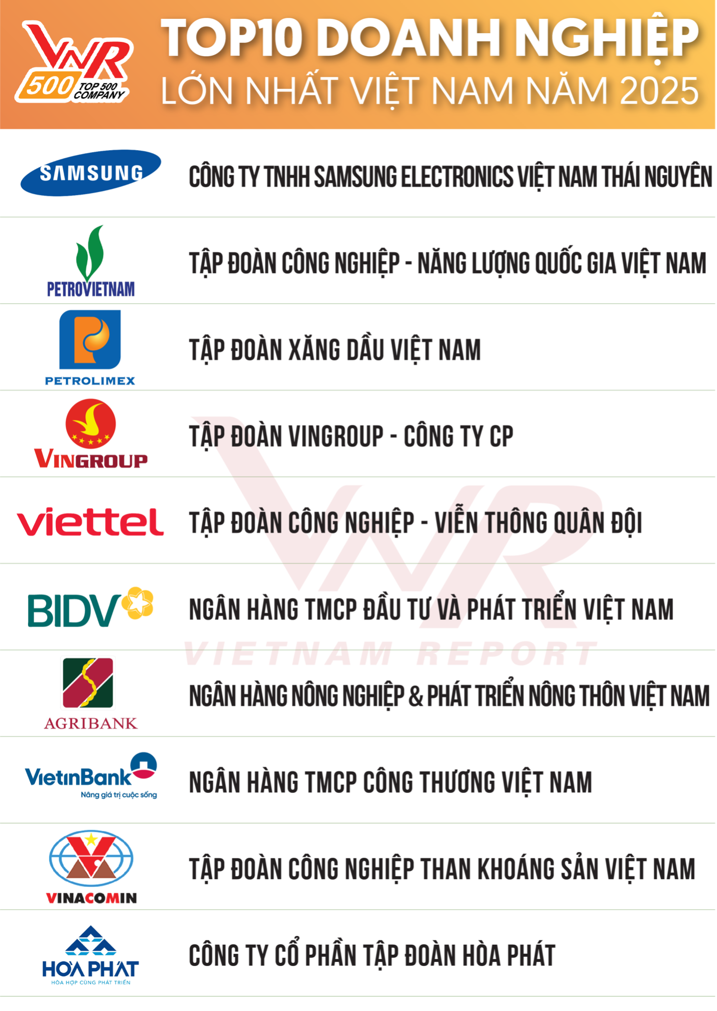 Hai doanh nghiệp của tỉ phú Nguyễn Thị Phương Thảo vào tốp doanh nghiệp tư nhân lớn nhất Việt Nam - Ảnh 3.