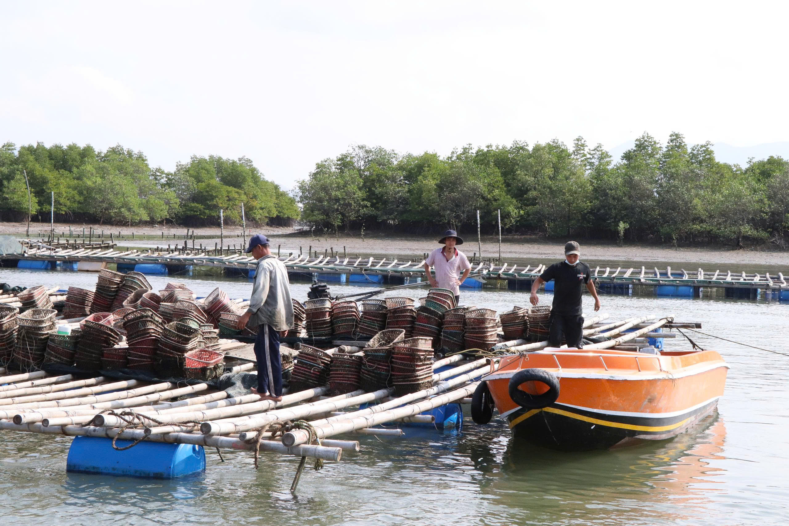 Từ nghề nuôi truyền thống trở thành thương hiệu du lịch - Ảnh 3.