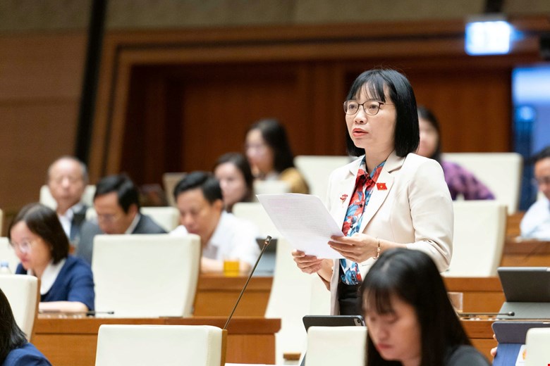 Đại biểu quốc hội đề cập vụ xây nhầm nhà - Ảnh 1.