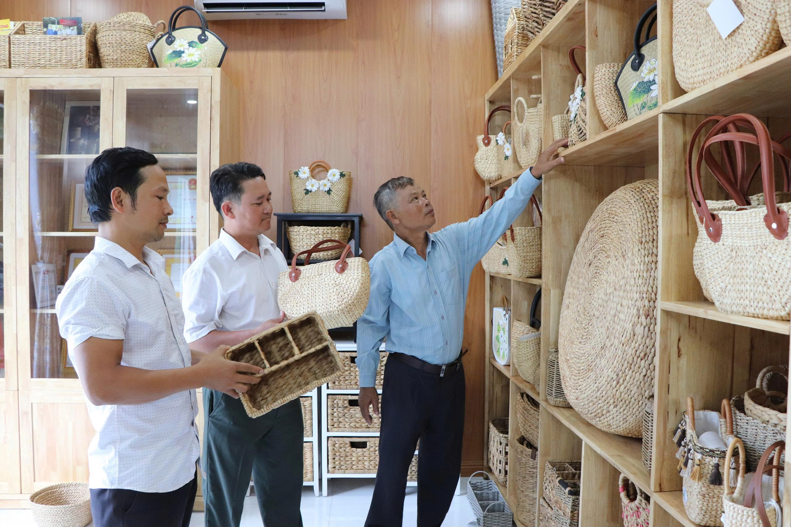 Đưa sản phẩm mỹ nghệ từ c&acirc;y lục b&igrave;nh xuất ngoại - Ảnh 1.