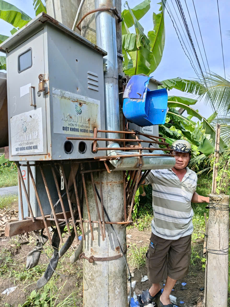 Người trồng thanh long ở T&acirc;y Ninh, Đồng Th&aacute;p kh&oacute;c r&ograve;ng v&igrave; rớt v&agrave; bị trộm cắp - Ảnh 1.