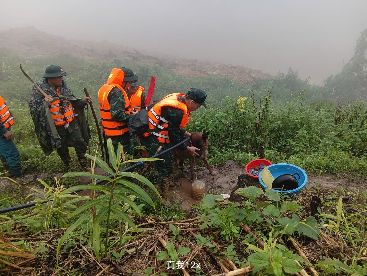 Cảnh khuyển tìm kiếm nạn nhân vụ lở núi ở Đà Nẵng: Hình ảnh đầy cảm động - Ảnh 9.