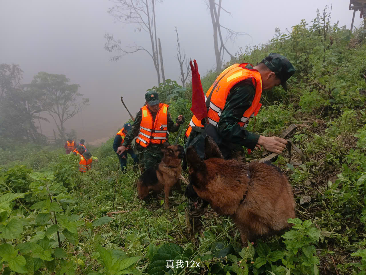 Cảnh khuyển tìm kiếm nạn nhân vụ lở núi ở Đà Nẵng: Hình ảnh đầy cảm động - Ảnh 8.