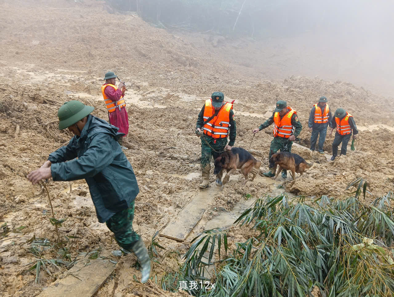 Cảnh khuyển tìm kiếm nạn nhân vụ lở núi ở Đà Nẵng: Hình ảnh đầy cảm động - Ảnh 14.