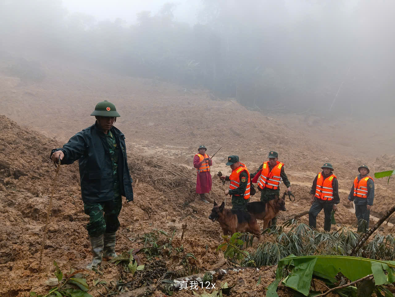 Cảnh khuyển tìm kiếm nạn nhân vụ lở núi ở Đà Nẵng: Hình ảnh đầy cảm động - Ảnh 13.
