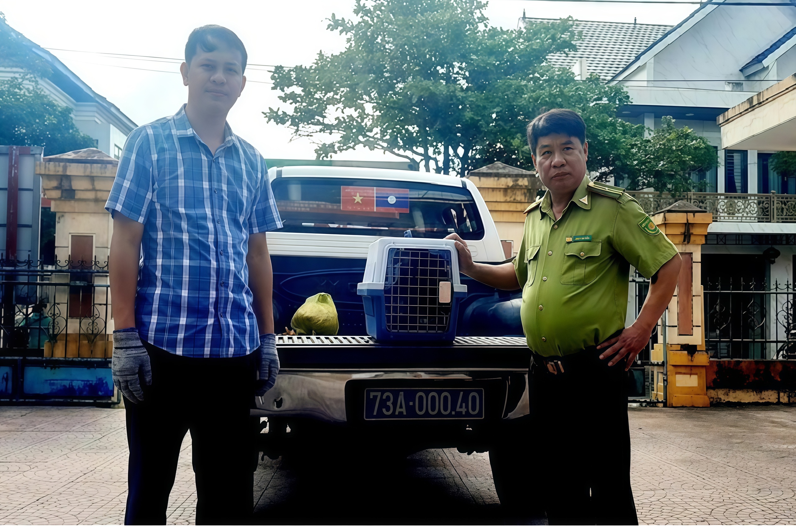 Diều hoa Miến Điện q&uacute;y hiếm được Cứu hộ ở Quảng Trị , g&oacute;p phần bảo vệ đa dạng sinh học - Ảnh 1.