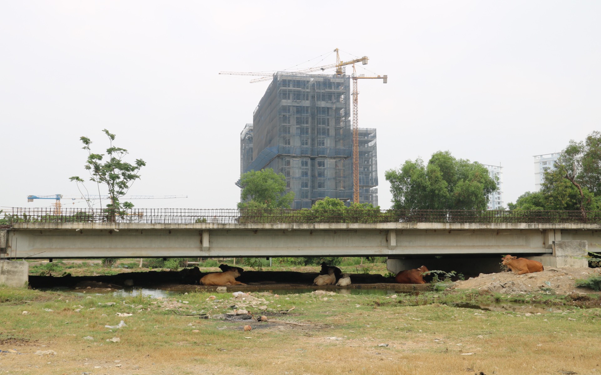Vành đai 2 - TP HCM chuẩn bị khởi công