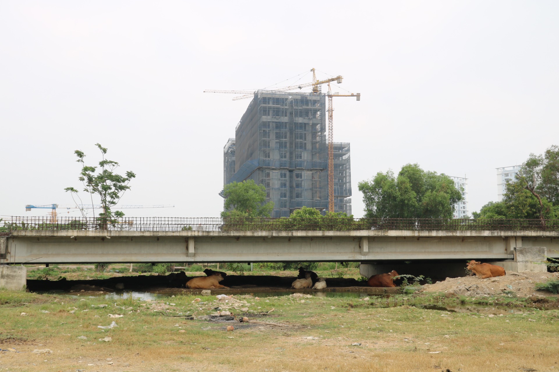 V&agrave;nh đai 2 TPHCM chuẩn bị khởi c&ocirc;ng, tiến độ &ldquo;n&oacute;ng&rdquo; 2027 - Ảnh 1.