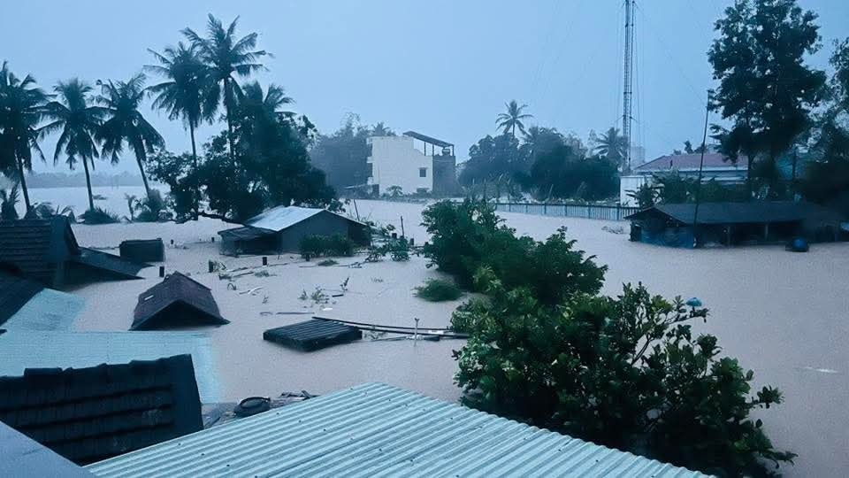 - Ảnh 1.