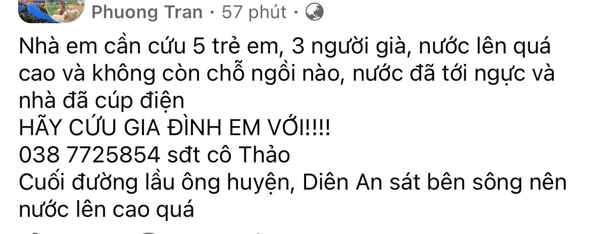 - Ảnh 7.