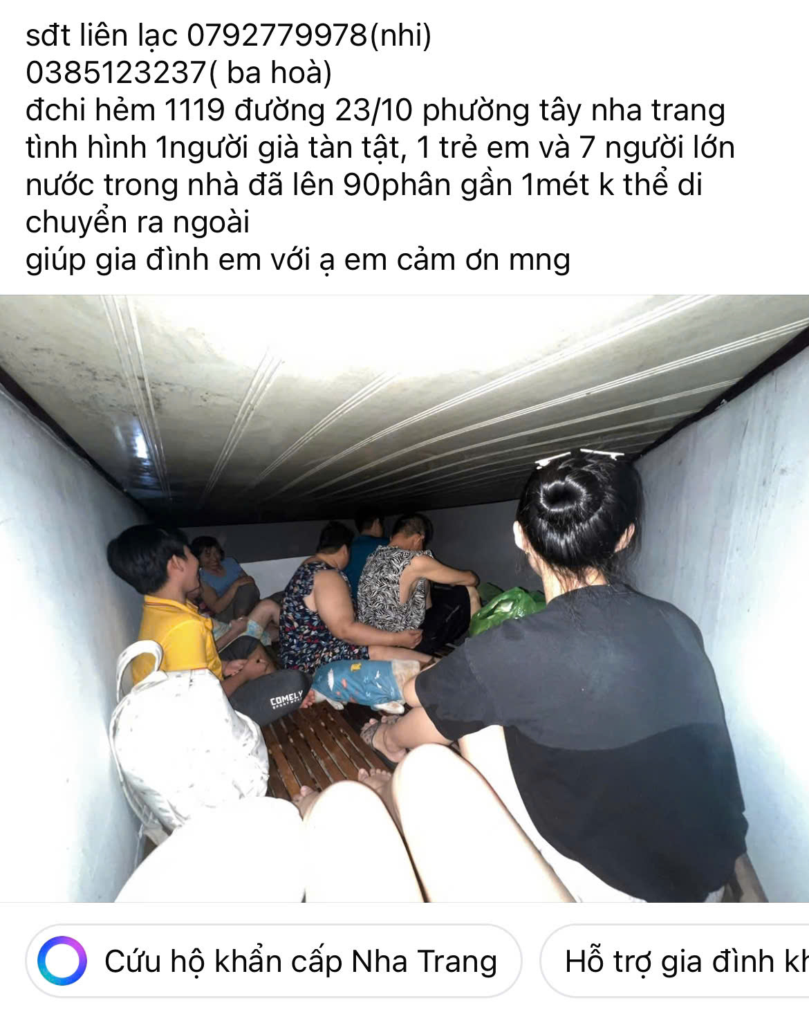 - Ảnh 2.