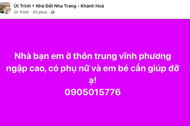 - Ảnh 4.