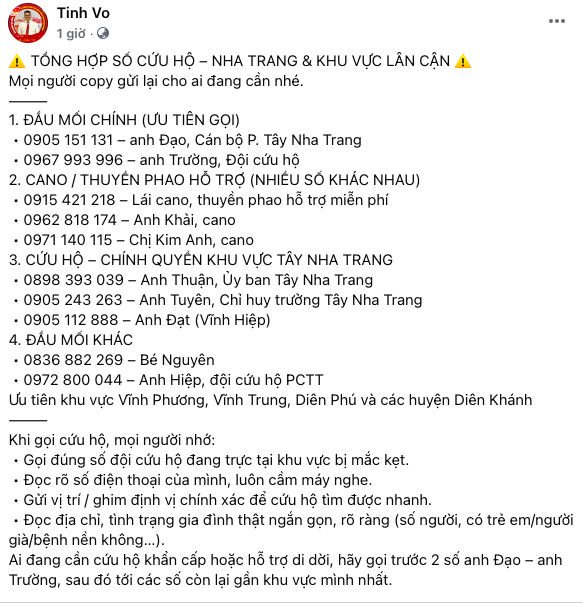 - Ảnh 8.