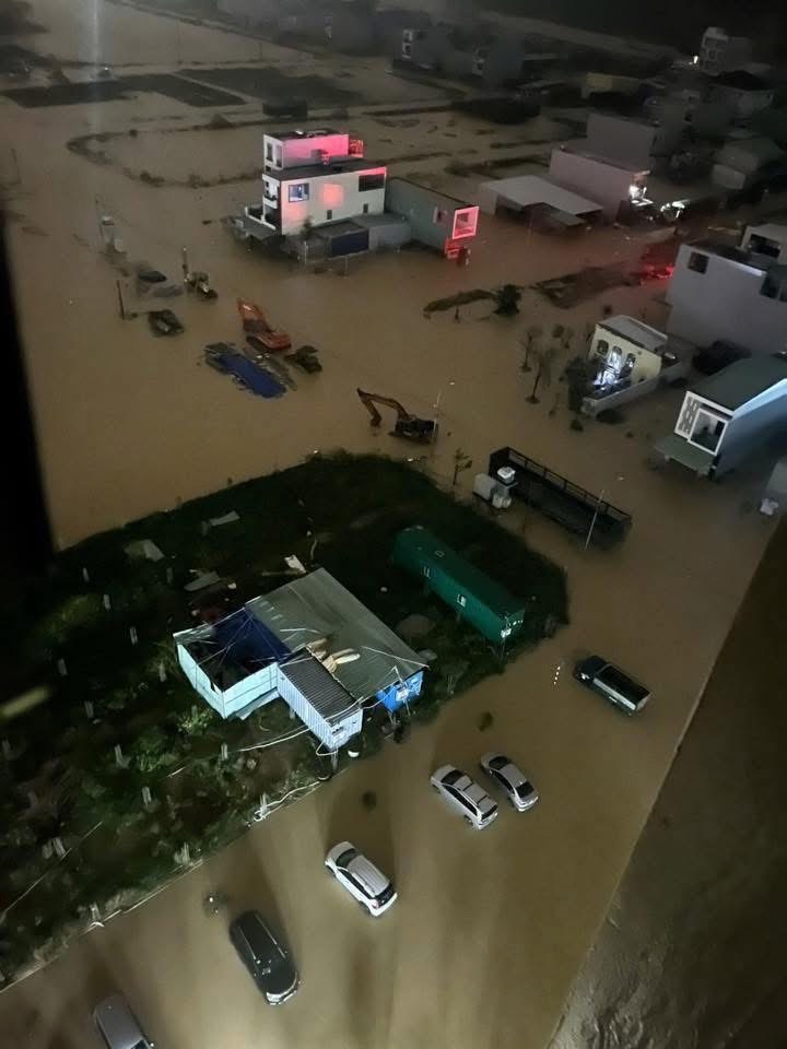 - Ảnh 4.