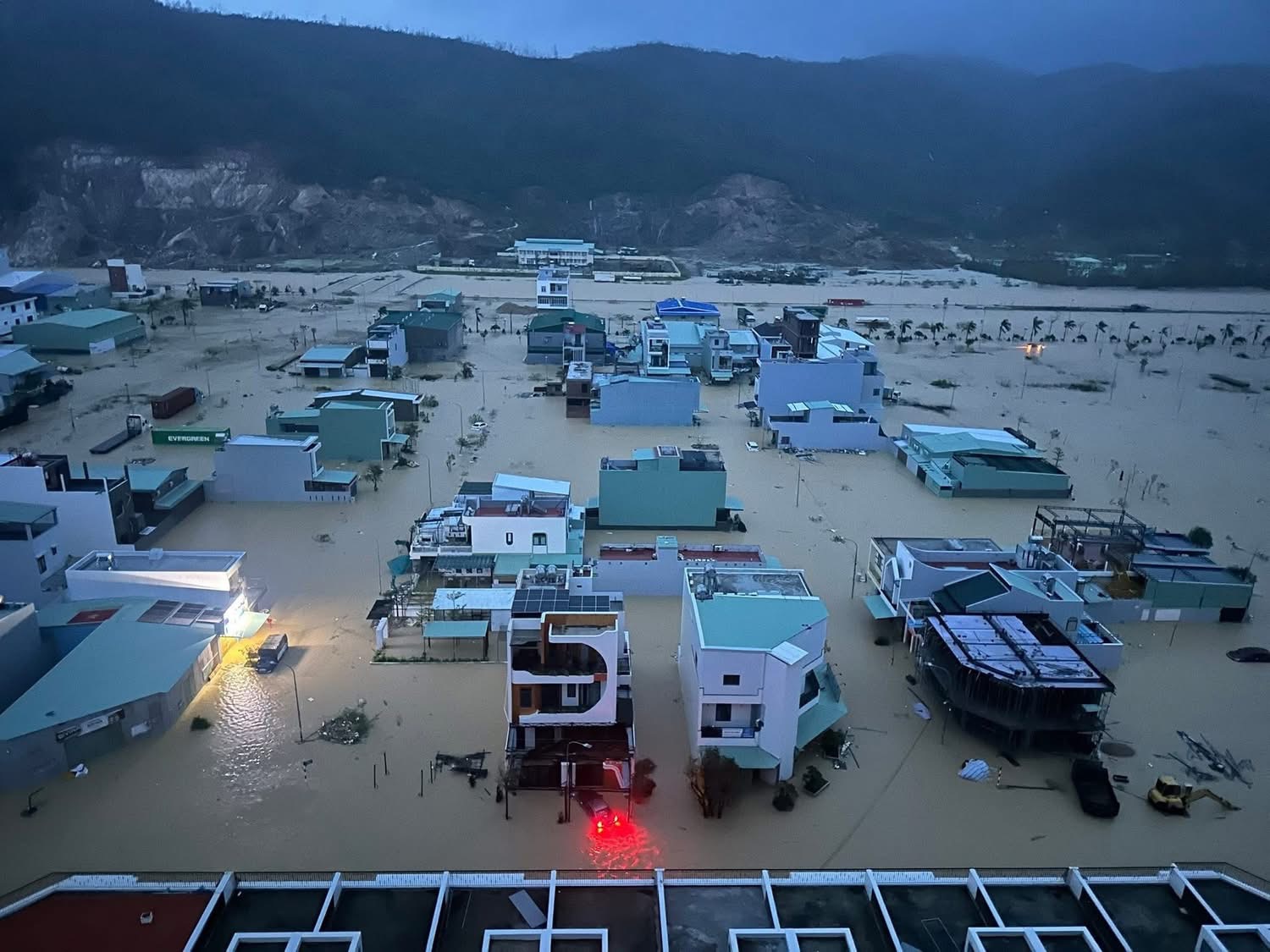 - Ảnh 10.