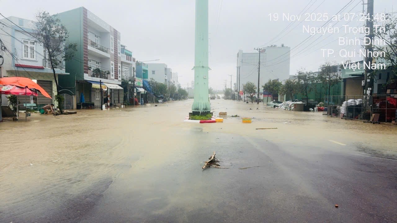 - Ảnh 18.