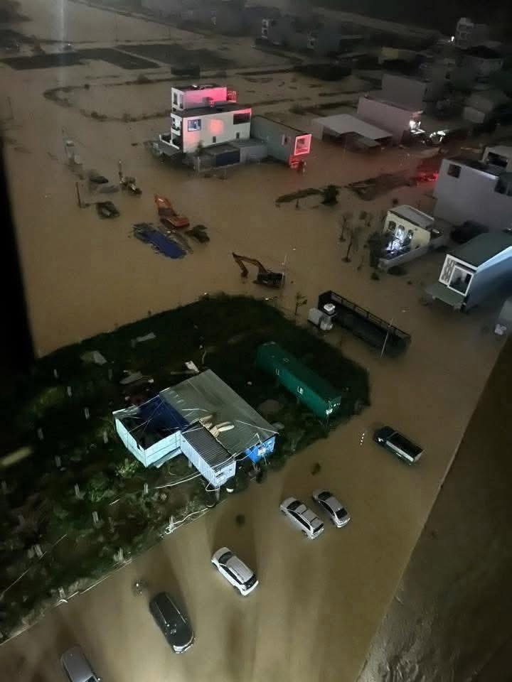 - Ảnh 26.