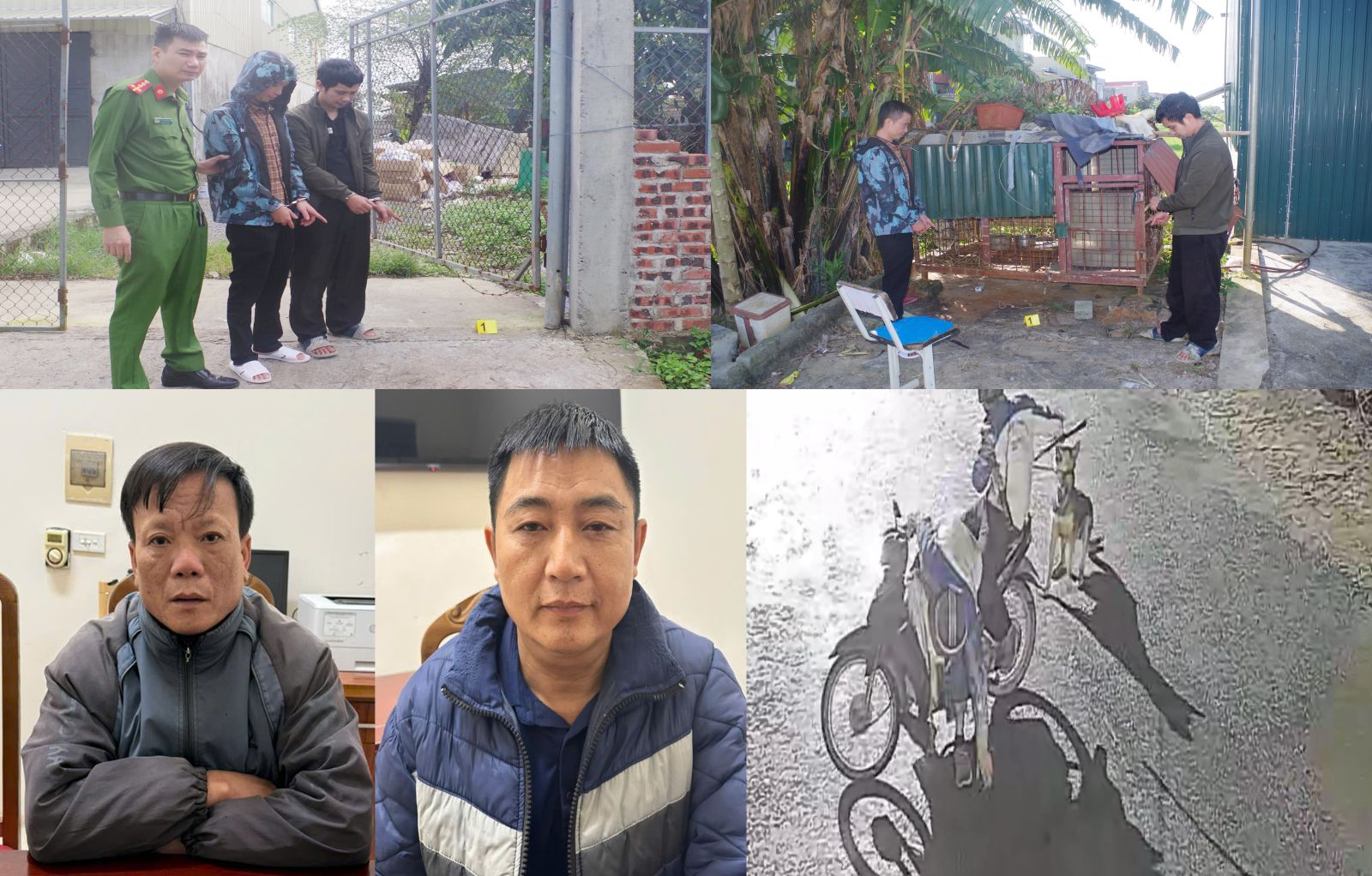 Bắt 4 đối tượng trong ổ nh&oacute;m trộm ch&oacute; manh động - Ảnh 1.