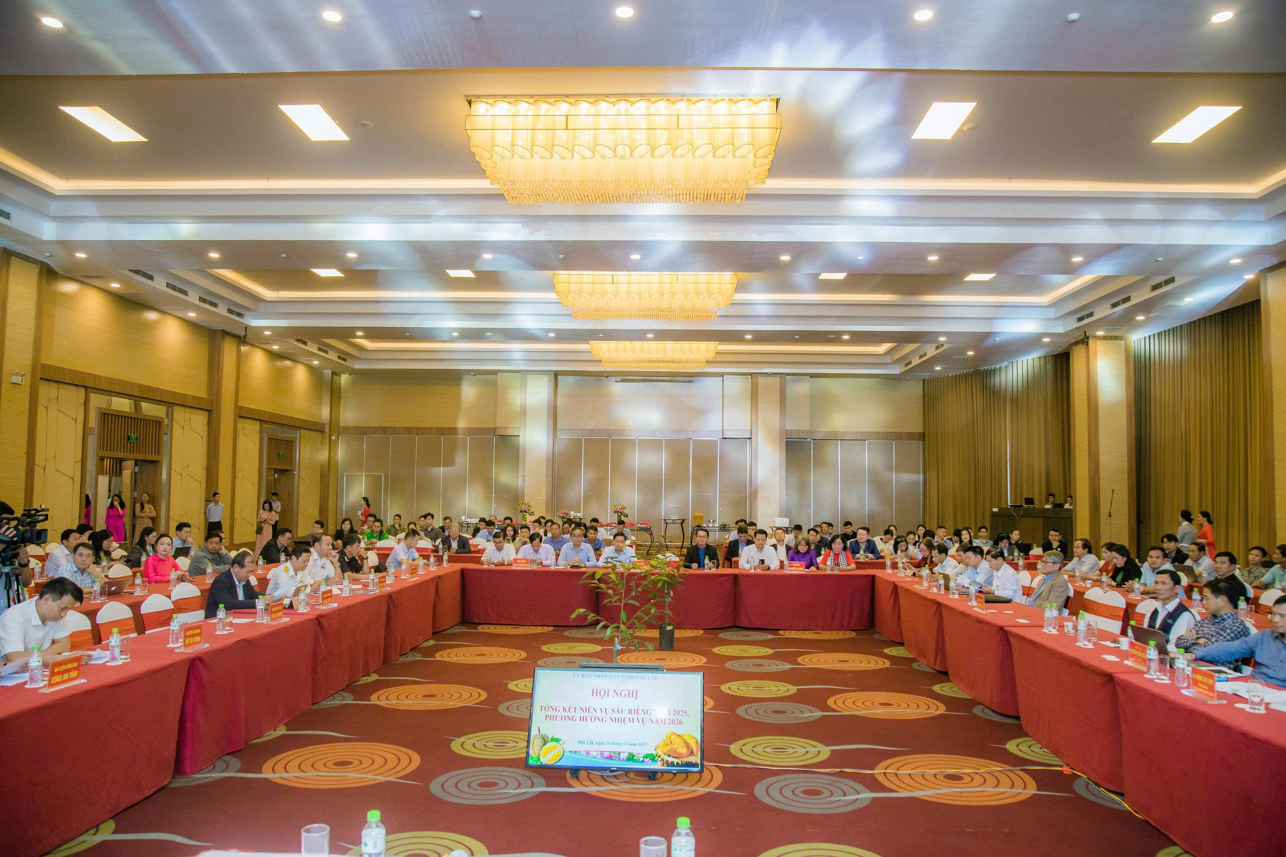 Mua hồ sơ xuất khẩu sầu ri&ecirc;ng với gi&aacute; h&agrave;ng trăm triệu đồng! - Ảnh 1.