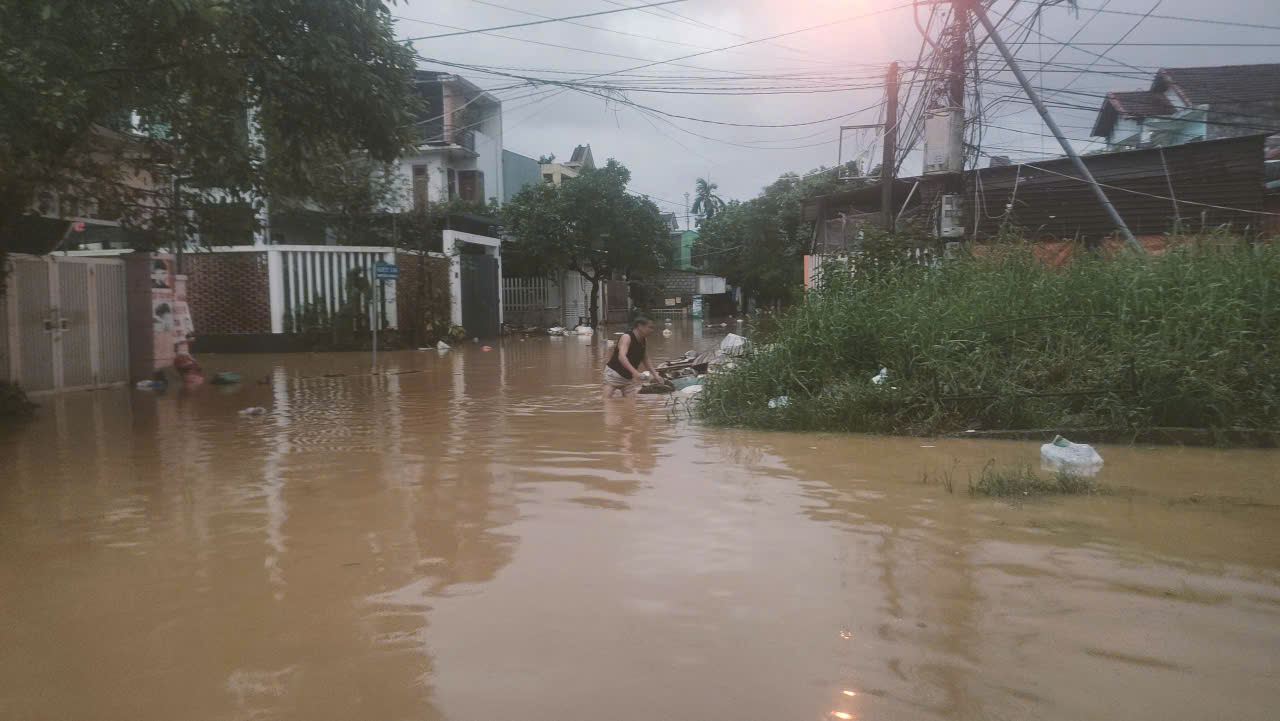  - Ảnh 7.