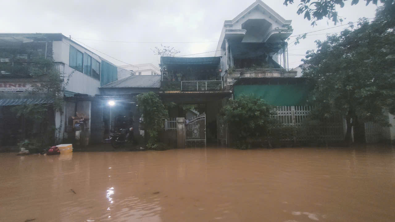  - Ảnh 6.