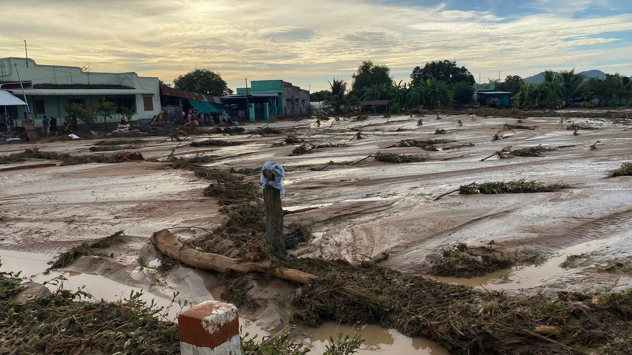 Hồ chứa nước của trang trại chăn nu&ocirc;i bị vỡ g&acirc;y chết người c&oacute; ph&eacute;p hay kh&ocirc;ng? - Ảnh 1.
