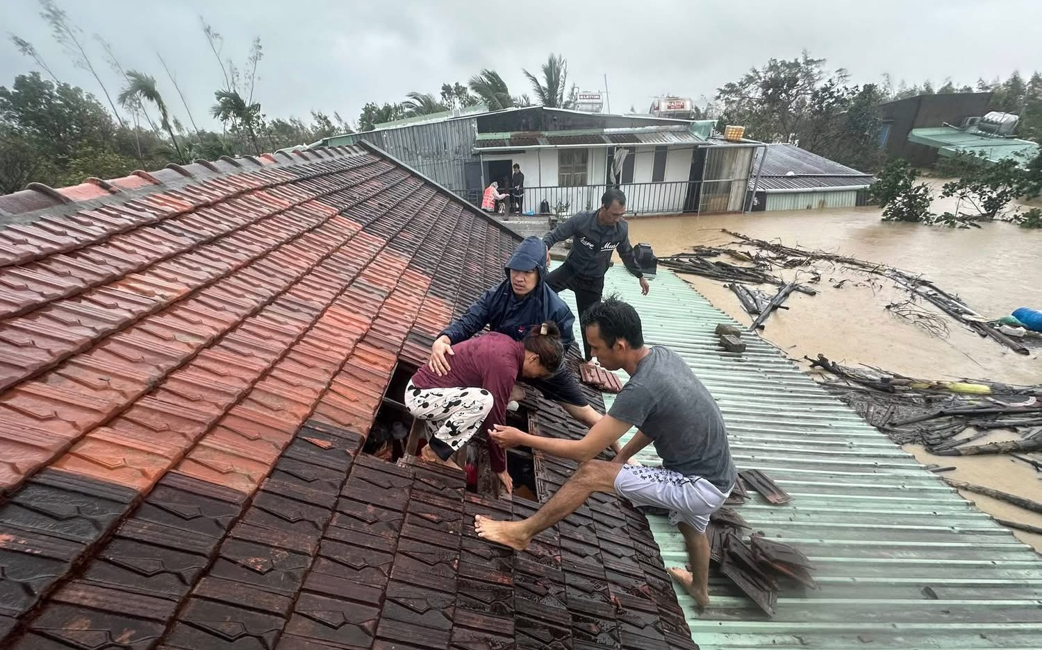 Thủ tướng: Ứng phó lũ đặc biệt lớn ở Khánh Hòa, Đắk Lắk và Gia Lai, đảm bảo tính mạng cho nhân dân