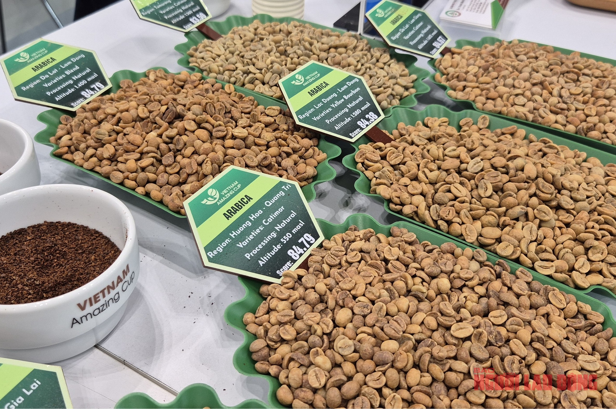 Gi&aacute; c&agrave; ph&ecirc; h&ocirc;m nay 20-11: Robusta giữ gi&aacute; tốt - Ảnh 1.