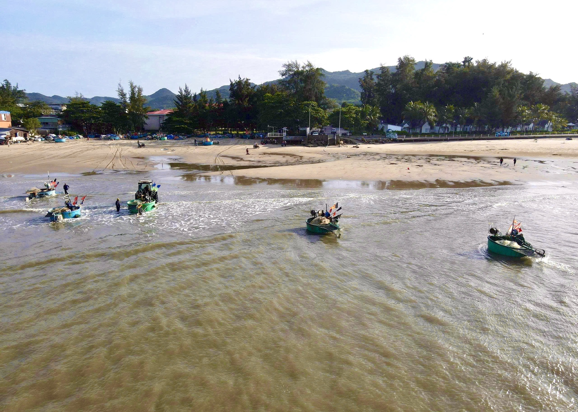 Ngư d&acirc;n TP HCM tr&uacute;ng "lộc trời" m&ugrave;a c&aacute; mai - Ảnh 2.
