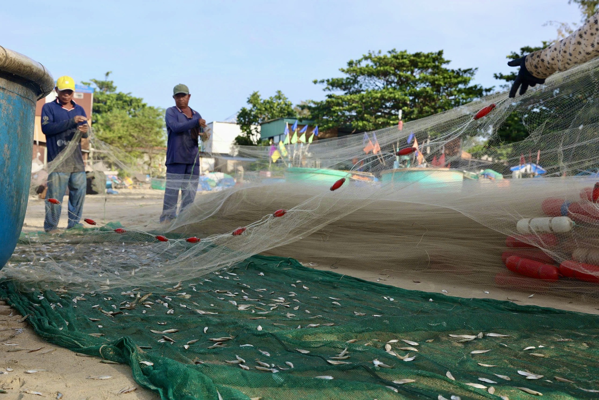 Ngư d&acirc;n TP HCM tr&uacute;ng "lộc trời" m&ugrave;a c&aacute; mai - Ảnh 5.