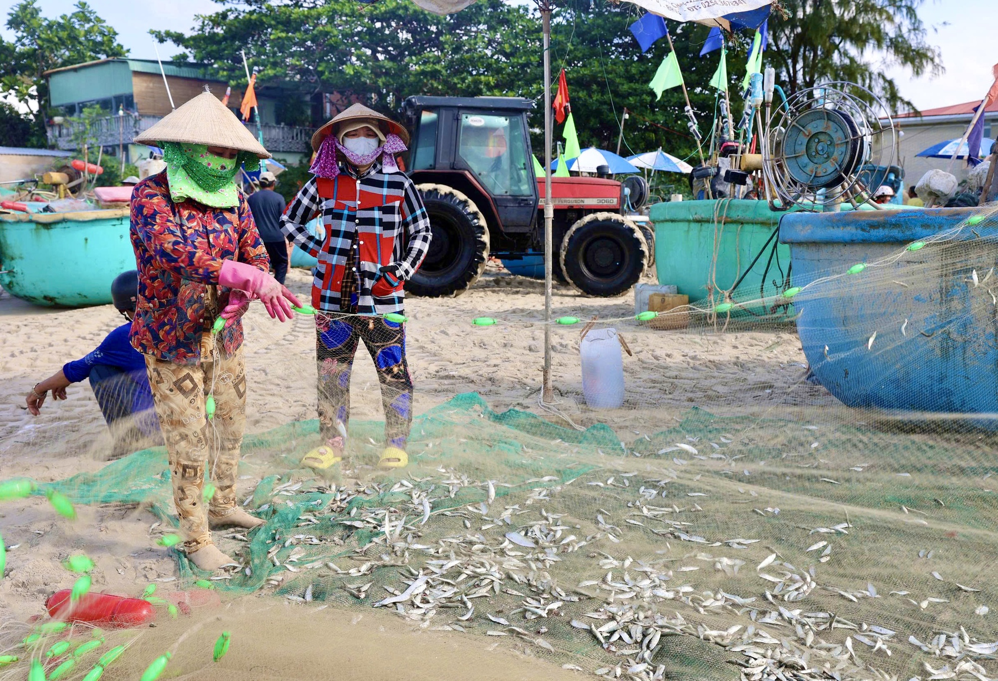 Ngư d&acirc;n TP HCM tr&uacute;ng "lộc trời" m&ugrave;a c&aacute; mai - Ảnh 1.