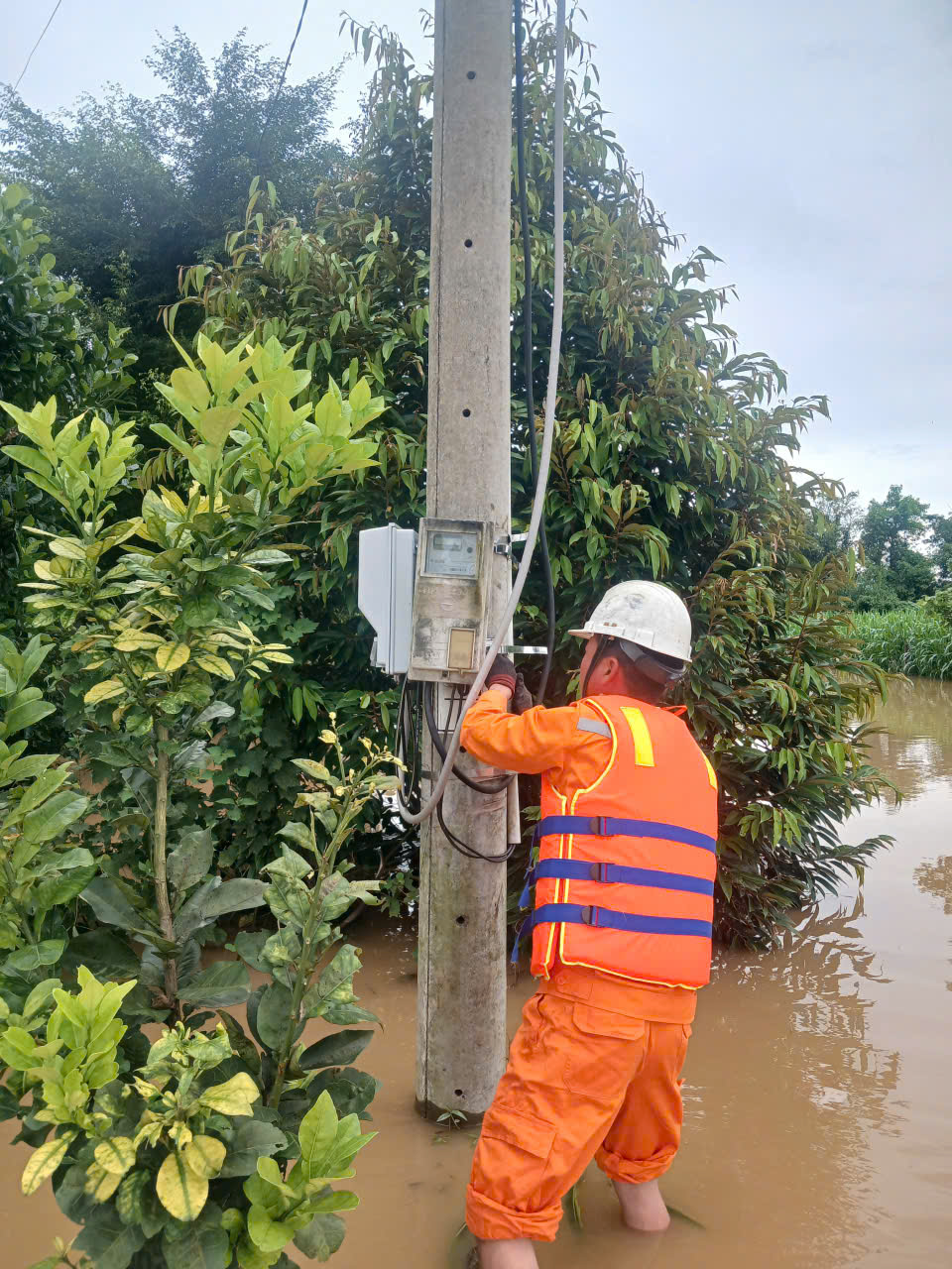 Thủy điện Trị An xả lũ g&acirc;y ngập lụt , cắt điện h&agrave;ng trăm hộ d&acirc;n ven s&ocirc;ng Đồng Nai - Ảnh 1.