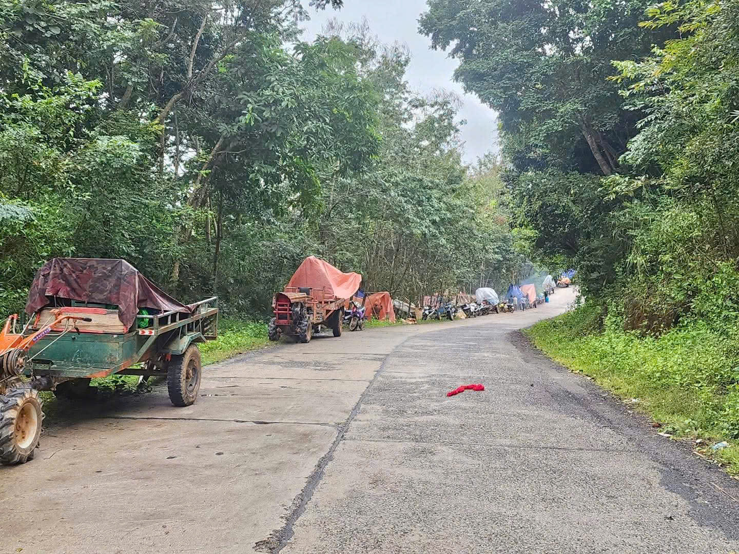 - Ảnh 2.