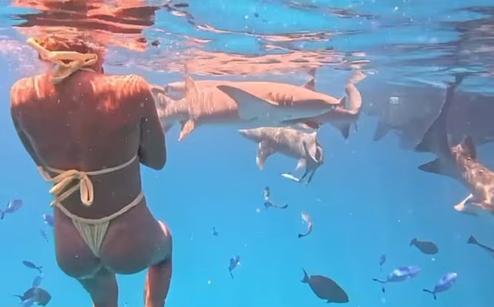 Mỹ nh&acirc;n Sabalenka: Giải sầu xa hoa sau c&uacute; sẩy tay tiền thưởng khủng - Ảnh 5.